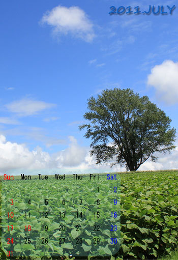 2011年7月美瑛小カレンダー.jpg