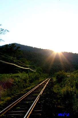 南富良野2−386.jpg