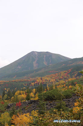 望岳台にて〜進む紅葉9843.jpg