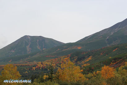 望岳台にて〜進む紅葉9844.jpg